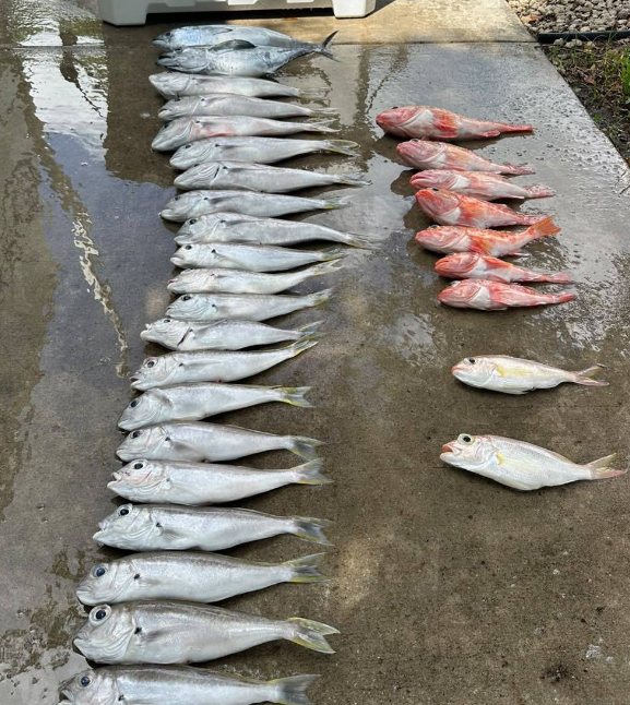 Fresh catches displayed after a Delta Bravo trip